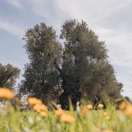 Masseria San Lorenzo Resort Fasano Zewnętrze zdjęcie