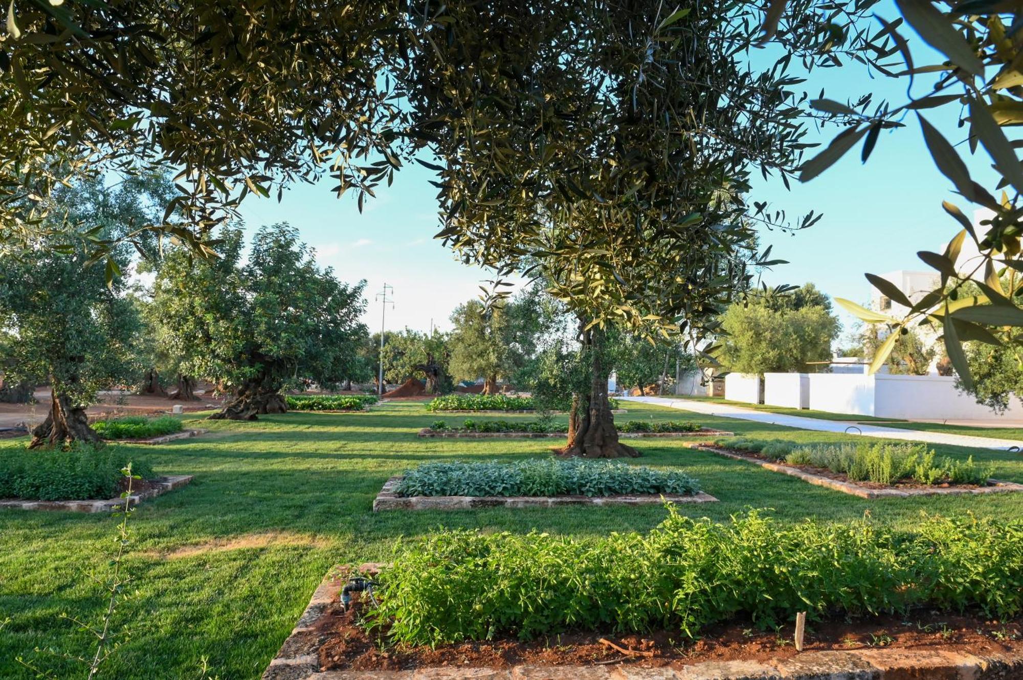 Masseria San Lorenzo Resort Fasano Zewnętrze zdjęcie